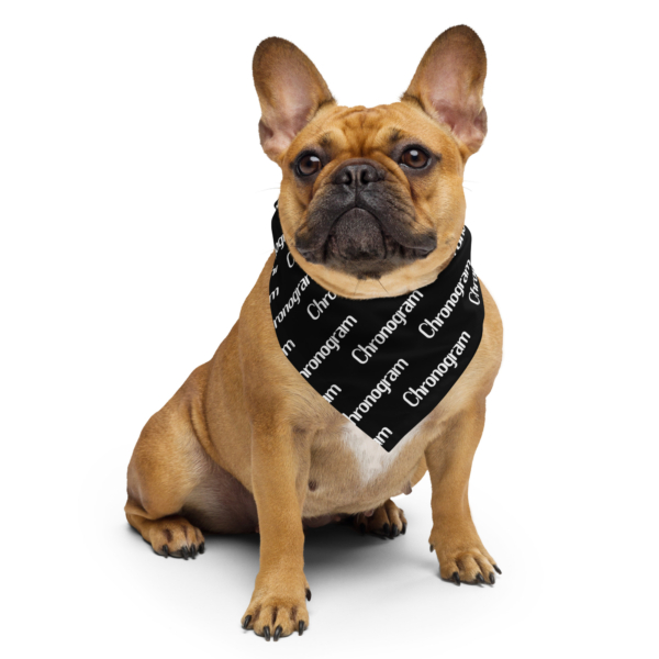 Chronogram Bandana